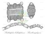 Biddulphia biddulphiana - Bacillariophyceae