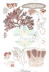 Portieria